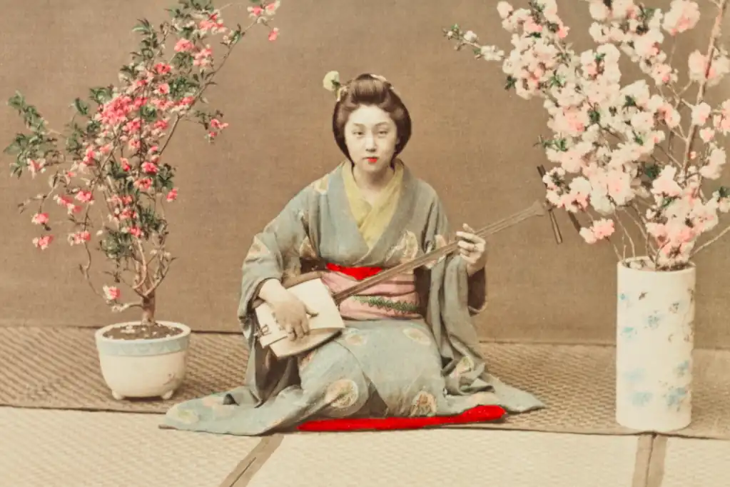 El oscuro camino de las Maiko o aprendices de Geisha.